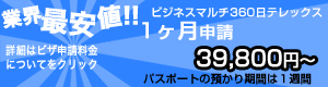 観光ビザ 業界最安値 39800円