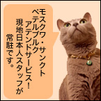 現地アテンド・通訳